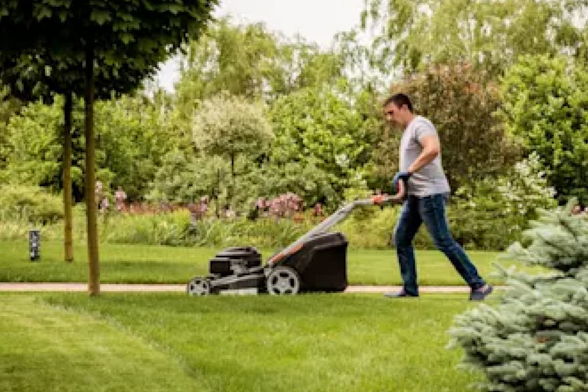 Gardening services