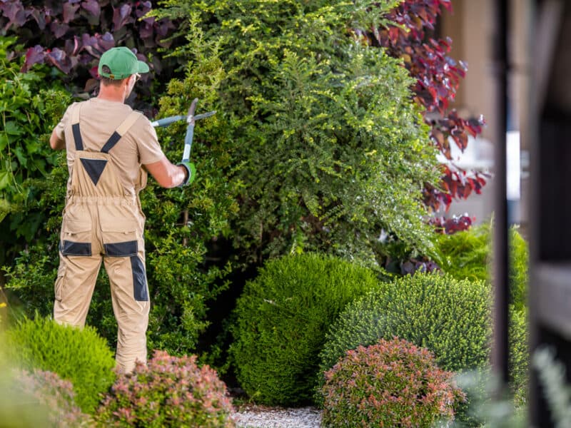Garden Maintenance preview