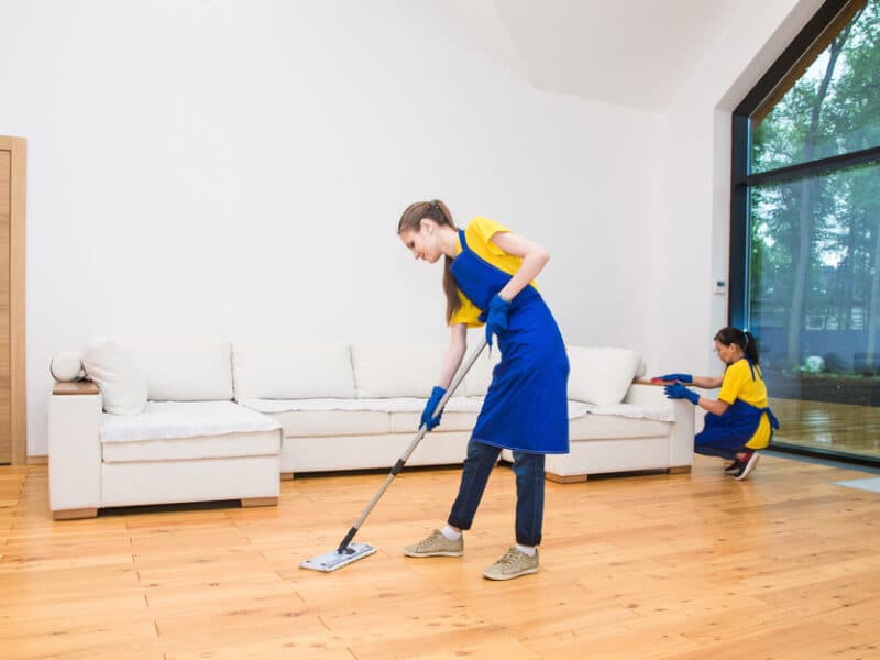 Regular Cleaning cover image